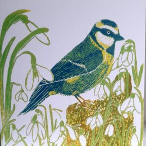 A blank greetings card featuring a bluetit among snowdrops
