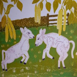 a blank greeting card featuring two spring lambs bouncing in a field.